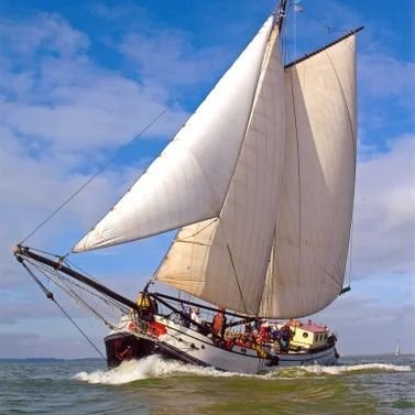 Raiser2001's profile picture. Nederlands, Beroep veel, nu IVA
Negatief is vermoeiend, dus altijd positief.👍🐕‍🦺🚙💉💉💉💉