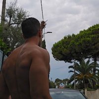 🇩🇿 🇵🇸 Roronoa Ironside (@roronoa95c) 's Twitter Profile Photo 🇩🇿 🇵🇸 Roronoa Ironside (@roronoa95c) 's Twitter Profile Photo