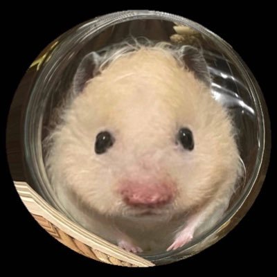 romalinanova's profile picture. айти эйчар 👽