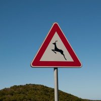 غِزْلاَن (@woqx22) Twitter profile photo