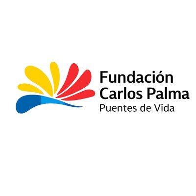ONG · Puentes De Vida · Desde Puebla impulsamos 7 Ejes. · Sé voluntario · Contacto ↓ 🫶❤️🩹