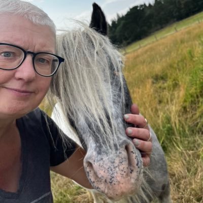 🇮🇱 Sunday Times & NYT bestseller, HGV driver, Mother of Tiny Horses, Truculent Gorgon. Not ready to make nice. #BitchITried