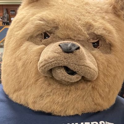 marzia_momin's profile picture. unofficial MY stan