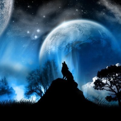 Alex_Krautz_74's profile picture. So gendert man "Sehr geehrte Damen und Herren und alle sonstigen nicht fortpflanzungsfähigen Kreaturen