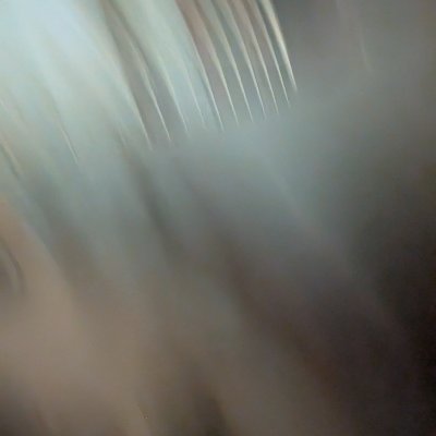 Kleks225's profile picture. Niesłychanie spokojny człowiek