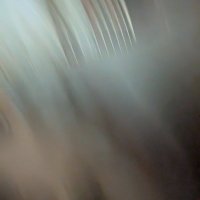 Kleks (@kleks225) 's Twitter Profile