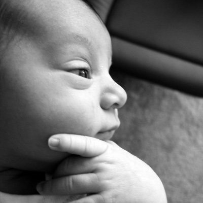 Dumbahwebsimguy's profile picture. 