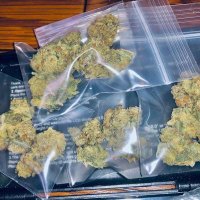 420willies (@420willies74614) Twitter profile photo