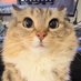 Buki (@okanynsmm) Twitter profile photo Buki (@okanynsmm) Twitter profile photo