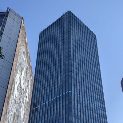 duckteck's profile picture. 