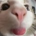 Timi (@timiorwhat) Twitter profile photo Timi (@timiorwhat) Twitter profile photo