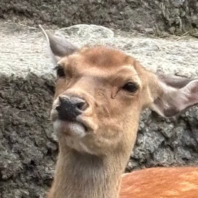 サダッキーさんのプロフィール画像