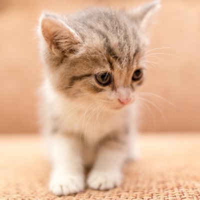Zafebery's profile picture. 日はゆっくり行ったことがあって、生活の中のすばらしさを体験します🏖
