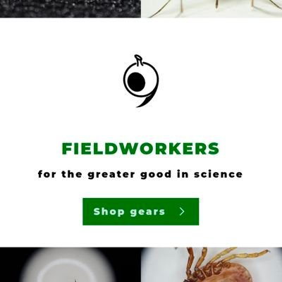 fieldworkers_jp's profile picture. FIELDWORKERS Co., Ltd. is a university based venture company, controlling mosquitoes and ticks across the world.