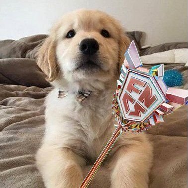 ism4ss's profile picture. aguante el fornai