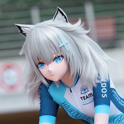 HaiDeRequisiten-kigurumi Profile