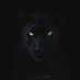 Zarbi (@zarbishter) Twitter profile photo Zarbi (@zarbishter) Twitter profile photo