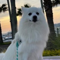 Raphael joe (@raphaeljoe45612) 's Twitter Profile