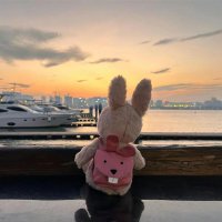 Ha哈丘🌟 (@hasmikpayeok) 's Twitter Profile