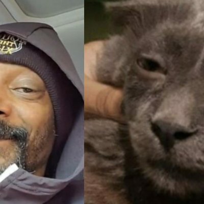 BellzonB's profile picture. Off-brand everything. Try not to panik. I will go to your TED Talks. Bkgrnd: Hemingway's crab cup. THat's not me. This acct has lotsa bops, sosumi 😊