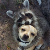 imagreenny ౨ৎ ⋆。 (@glassessgrl) 's Twitter Profile Photo imagreenny ౨ৎ ⋆。 (@glassessgrl) 's Twitter Profile Photo