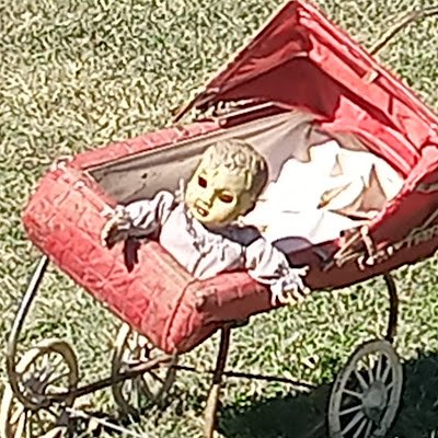 GrumpyGrandpaD's profile picture. I'm married to my lovely wife for 34 years and going with 3 wonderful kids and 3 awesome Grandsons.🇺🇸🚫Gift Cards 🚫Dates 🚫Crypto 🚫 To Scammers🖕NO DMs