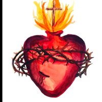 Christianity βοΈππβ€οΈβπ©Ή (@manneho270) 's Twitter Profile