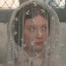 folkausten's profile picture. “I am no bird; and no net ensnares me” ࣪𐙚