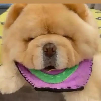 kam_hung88094's profile picture. 