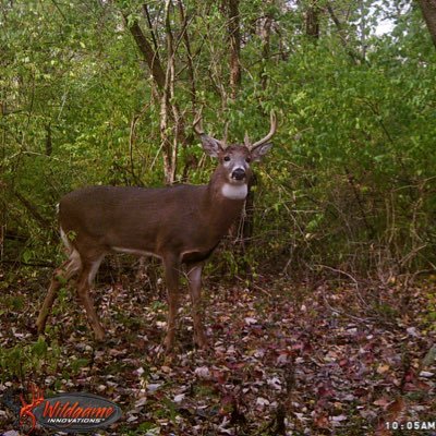 CharlesK42275's profile picture. I am real, I am tired of all the bots and scammers. I will not send you money. l have given up hope of chatting with age appropriate people here.