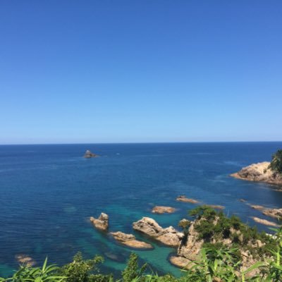 miyo1025959118's profile picture. 