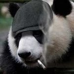 gis_jam's profile picture. 