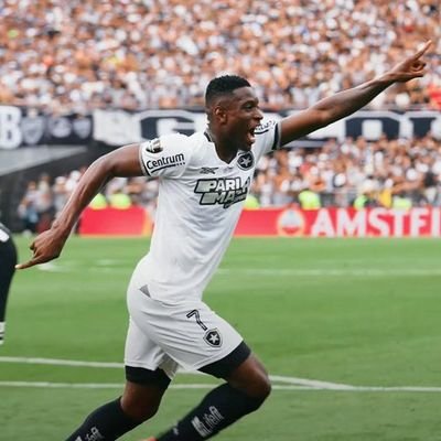 pedrou_021's profile picture. @botafogo
CAMPEÃO DA LIBERTADORES 2024