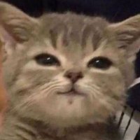 Réa (@decrainxii) 's Twitter Profile