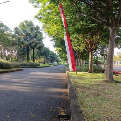 ciprut333's profile picture. 