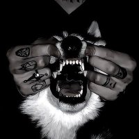 ranger π― $ 27 / 500 (@muttchow) 's Twitter Profile