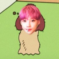 삐꼬 (@idisppikko) 's Twitter Profile