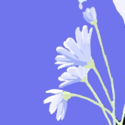 sakuraさんのプロフィール画像