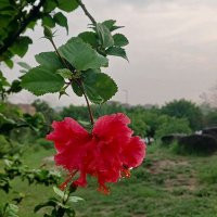 _angel (@janah_pk) 's Twitter Profile