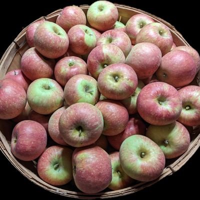 upandadam50's profile picture. 