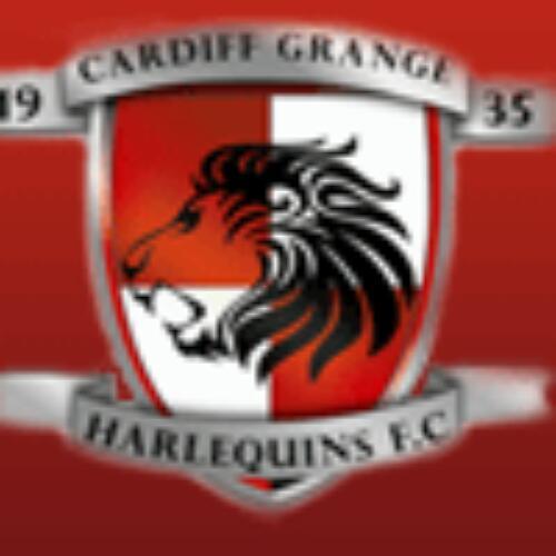 GrangeQuins's profile picture. Welsh League football club formed in 1935 looking to reach past glory