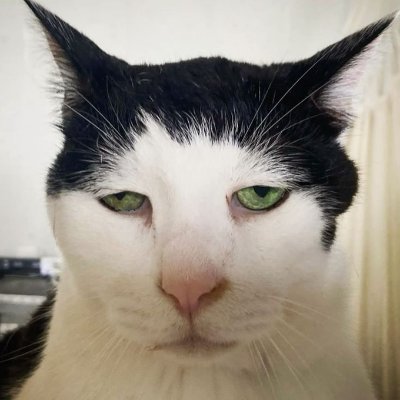 Mrslappiss's profile picture. LARPer and professional absurdist
pronouns he/he/he