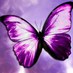 Carol C (@minervapsy) Twitter profile photo Carol C (@minervapsy) Twitter profile photo
