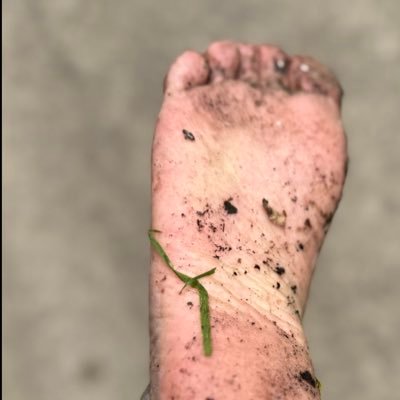 DanSkorski's profile picture. Rivals real diamonds 💎 Add some #Nadrispakle to your everyday look