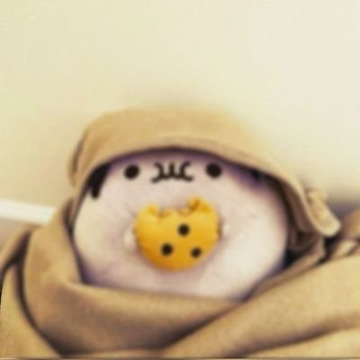 FLA4ANN's profile picture. ♡Holii, soy flansitoo ( ^ω^ )  me gusta mucho el flan ¡¡ pero mas me gusta mi noviesito piojoso @PiojoDe3erArco !! (ㅅ´ ˘ `) ♡