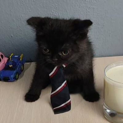 wanazleezam's profile picture. Yaya Tera Giga Mega Kilo Deca Deci Ultra Super Simperino |
Married to Laeri von Yayerz |
Nero's Ball Flicker