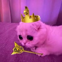 𝐍𝐖 𝐧𝐢𝐭𝐫𝐳𝐫𝐫. (@nitrzrrr) 's Twitter Profile Photo 𝐍𝐖 𝐧𝐢𝐭𝐫𝐳𝐫𝐫. (@nitrzrrr) 's Twitter Profile Photo