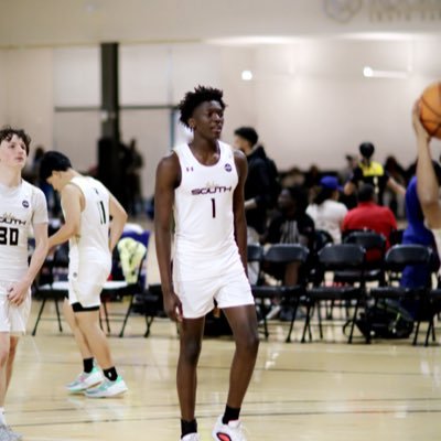 Andrew Ferguson 6’8 7’3wingspan 200 ibs forward 11/11/08 class of 2027 16 yrs old. foward bench 180 squat 230 3.1 gpa. (689-275-7836) Seminole high school FL🌴