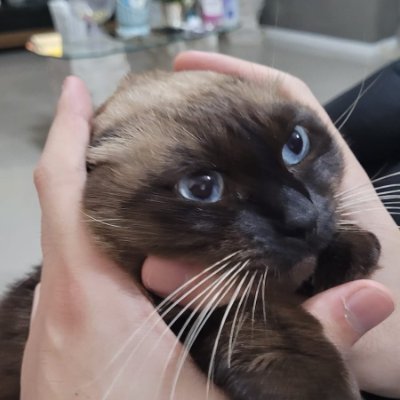 _weqwewee's profile picture. Não é quereno pá mas nois é nata de verdade...