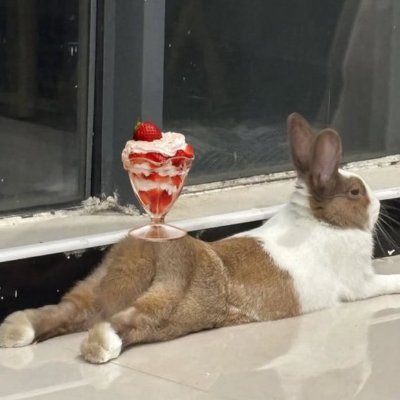 Bir insanı çantada keklik sananlar, unutmayın ki, keklik uçar...
Ve siz de o kekliğin elinizden uçtuğunu görürseniz, hatayı kendinizde arayın, keklikte değil...